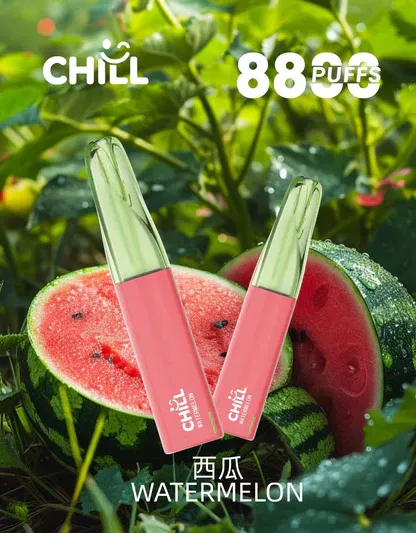 CHILL 鴨嘴獸8800口拋棄式電子煙｜特色造型設計・高容量續航配置・潮流便攜體驗