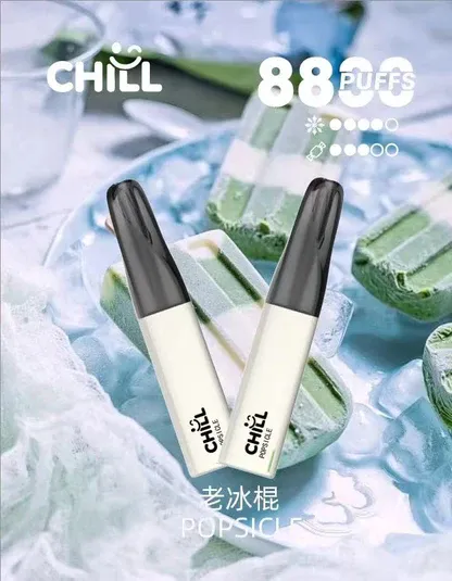 CHILL 鴨嘴獸8800口拋棄式電子煙｜特色造型設計・高容量續航配置・潮流便攜體驗