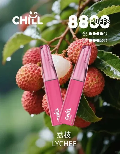 CHILL 鴨嘴獸8800口拋棄式電子煙｜特色造型設計・高容量續航配置・潮流便攜體驗