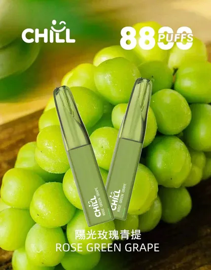 CHILL 鴨嘴獸8800口拋棄式電子煙｜特色造型設計・高容量續航配置・潮流便攜體驗