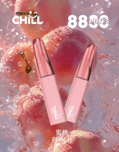 CHILL 鴨嘴獸8800口拋棄式電子煙｜特色造型設計・高容量續航配置・潮流便攜體驗