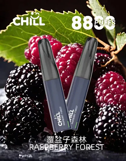 CHILL 鴨嘴獸8800口拋棄式電子煙｜特色造型設計・高容量續航配置・潮流便攜體驗
