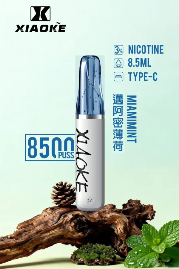 27763104a941bdf31156bc0c11499293-1024x1536.jpg XIAOKE 梟客 8500口拋棄式電子煙|順暢尼古丁鹽・輕巧大儲油量・Type-C長效續航