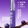 8b2c17ea1d548700b8e9ec2a9e768390.jpg XIAOKE 梟客 8500口拋棄式電子煙|順暢尼古丁鹽・輕巧大儲油量・Type-C長效續航