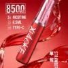 XIAOKE 梟客 8500口拋棄式電子煙｜順暢尼古丁鹽・輕巧大儲油量・Type-C長效續航