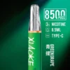 bede8c3d084105e043d192765e2199c6-1024x1536.jpg XIAOKE 梟客 8500口拋棄式電子煙|順暢尼古丁鹽・輕巧大儲油量・Type-C長效續航