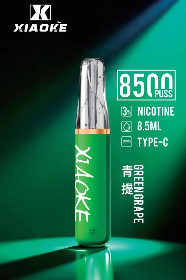 bede8c3d084105e043d192765e2199c6-1024x1536.jpg XIAOKE 梟客 8500口拋棄式電子煙|順暢尼古丁鹽・輕巧大儲油量・Type-C長效續航