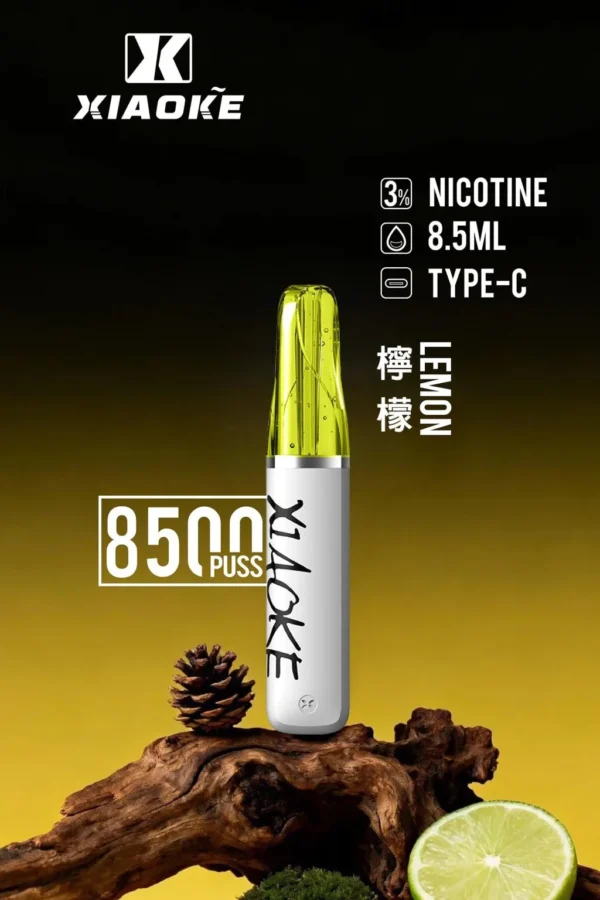 d185d7e28615e84aca893d861a0e04f4-1024x1536.jpg XIAOKE 梟客 8500口拋棄式電子煙|順暢尼古丁鹽・輕巧大儲油量・Type-C長效續航